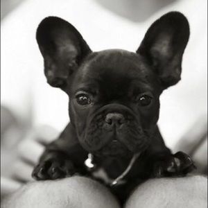 Meet your Posher, Beverly